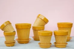 Discount Bergs Potter Simona Glazed, Ø 12 cm, sæt Bärnstensgul