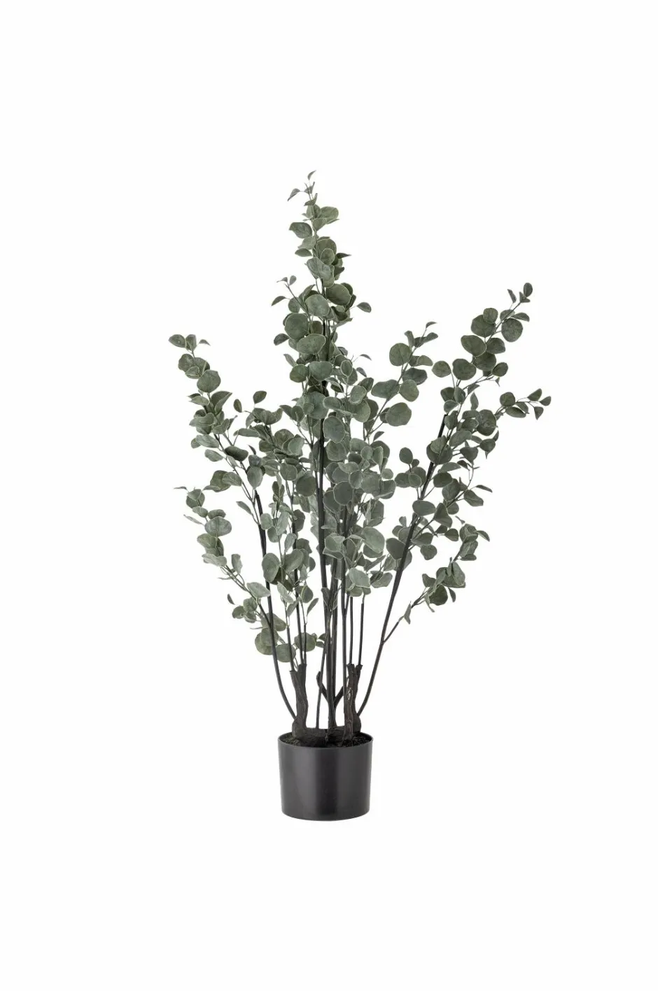 Best Bloomingville Eucalyptus Plante Grøn