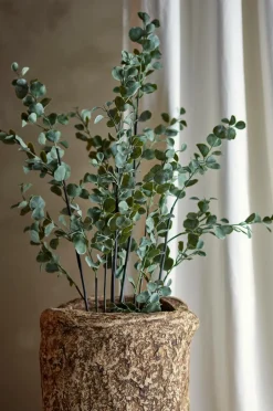 Best Bloomingville Eucalyptus Plante Grøn