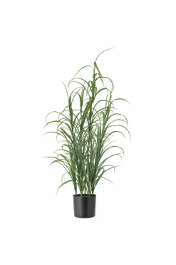 Sale Bloomingville Grass Plante Grøn