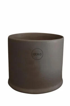 DBKD Krukke Astillbe Small Dust
