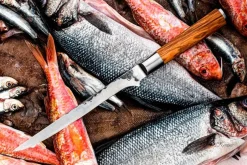 Sale Forged Fiskfilékniv Stål/træ
