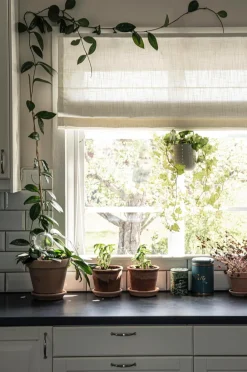 Online Hasta Liftgardin Lina Varm hvid