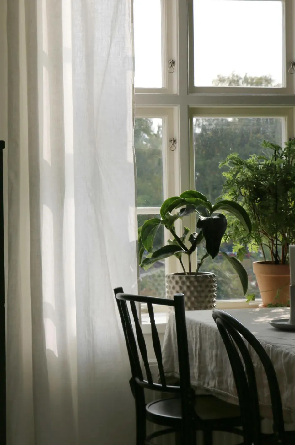 Discount Himla Gardin Sunshine Vit