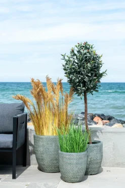 Best House Nordic Kunstig Durra. Plante af PE-plast. Natur