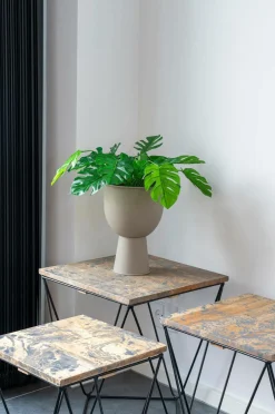 Best House Nordic Kunstig Monstera. Plante af PE-plast. Ø 40 cm. Green glossy