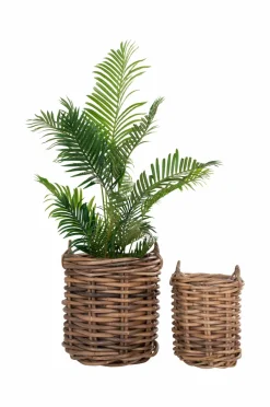 Sale House Nordic Kurve Burton Natur/natur