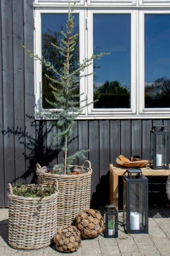 Sale House Nordic Kurve Indo, 2-pak Naturbrun