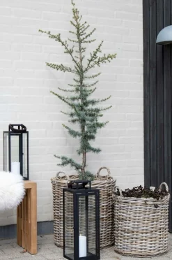 Sale House Nordic Kurve Indo, 2-pak Naturbrun