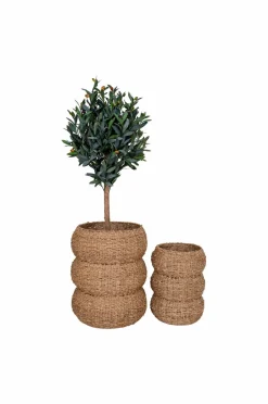 Clearance House Nordic Kurve Sarbas Natur/natur
