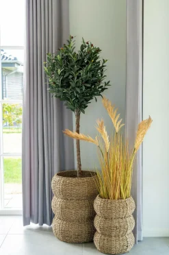 Clearance House Nordic Kurve Sarbas Natur/natur