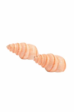 Hot &k Amsterdam Salt & peber Shell Abrikos