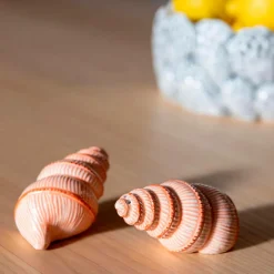 Hot &k Amsterdam Salt & peber Shell Abrikos
