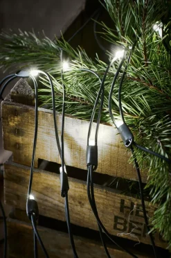 Outlet Markslöjd Lyskæde Net CHRISSLINE 1,7x2 m Kold hvid Ekstra Sort mat sort