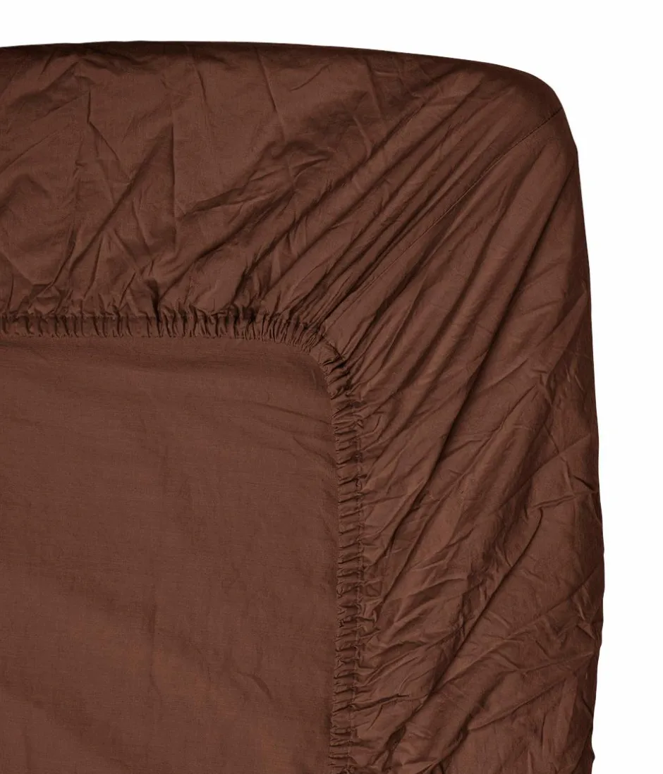 Clearance Midnatt Stræklagen Cortado Brown