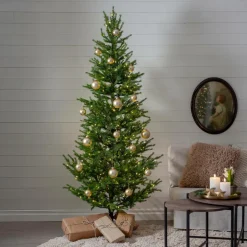 Best Star Trading Juletræ udendørs Malung, 200 cm Green