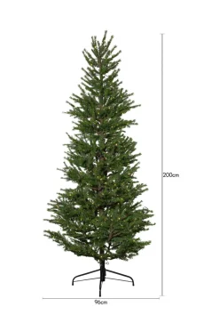 Best Star Trading Juletræ udendørs Malung, 200 cm Green