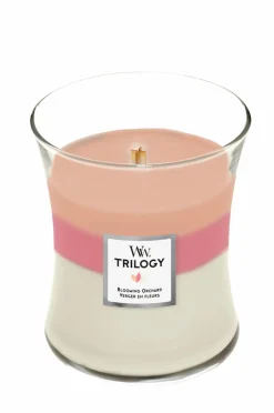 Best WoodWick Trilogy Hourglass Blooming Orchard Medium