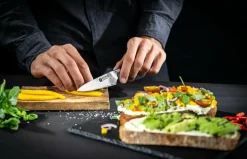 Sale ZWILLING Skalkniv Tanrei 10 cm Brun, grå