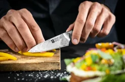 Sale ZWILLING Skalkniv Tanrei 10 cm Brun, grå